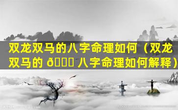 双龙双马的八字命理如何（双龙双马的 🐝 八字命理如何解释）